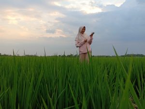 Menikmati Mudik di Sawah