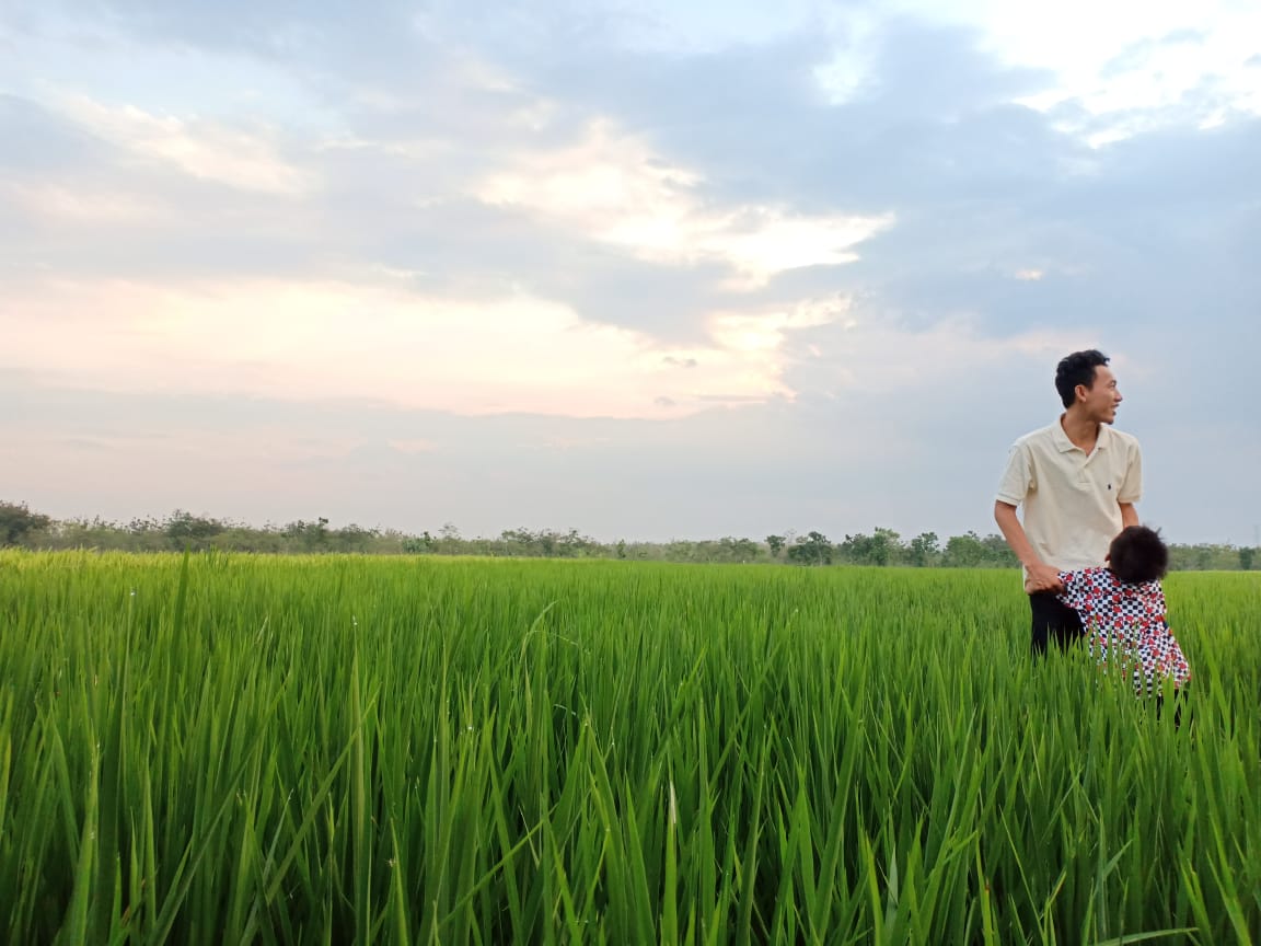 Menikmati Mudik di Sawah